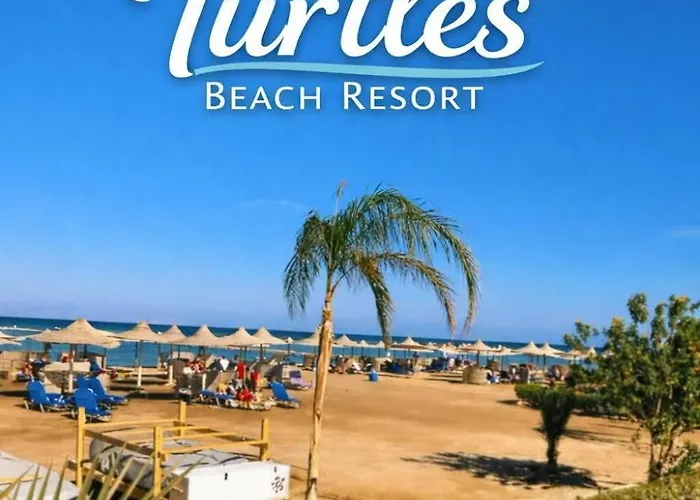 Turtles Al Ahyaa Hurghada
